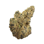 Grape Gas, Indoor