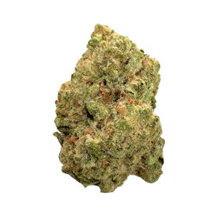 WEST COAST FARMS - Canal St. Runtz, Greenhouse