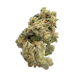 THE HEIGHTS CO - Fatso, Indoor