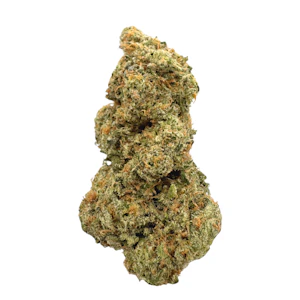 OREGON ROOTS - Cindy 99, Indoor