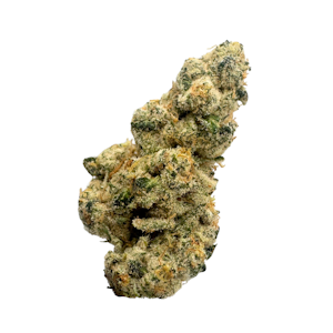 Kaprikorn - Kozeto, Indoor