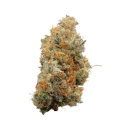 Buckaroo, Indoor