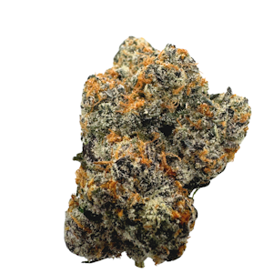 PACIFIC GROVE - Baklava x Biscotti, Indoor