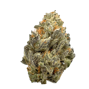 Güd Gardens - Dante's Inferno, Indoor