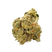 Tree Flip, B-buds, Indoor