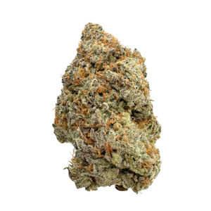 OREGON ROOTS - Mo'Bama, Indoor