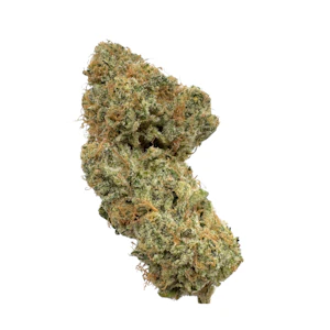 OTIS GARDENS - Orange Cream Cake, Indoor