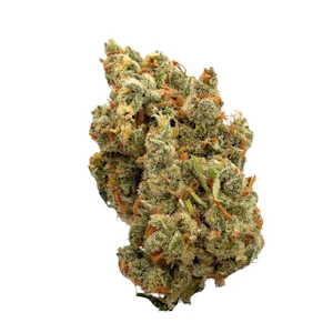 Zilem Collective - Bubble Jack, Indoor