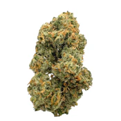 Strawberry Cough, Indoor