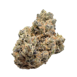 CRUISE CONTROL (OR) - Lizard Burger, Indoor