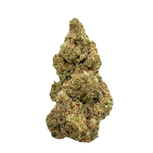 WEST COAST FARMS - The Butcher, Greenhouse