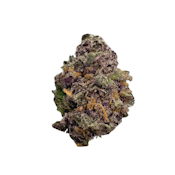 Sugar Factory, B-buds, Indoor