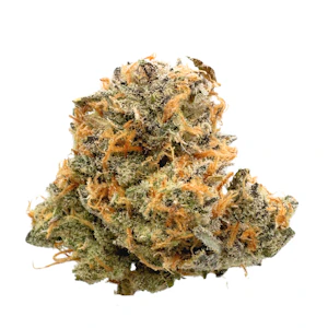 PRUF CULTIVAR - Sonic Screwdriver, Indoor