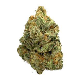 Zion Roots - Golden Lemons, Indoor