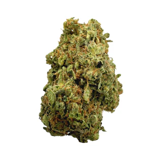 WEST COAST FARMS - Sour Diesel, Greenhouse