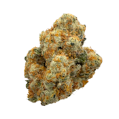 Ego Checker, Indoor