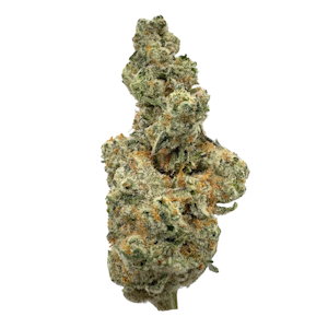 ALIBI CANNABIS - Cap Junky, Indoor