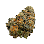 Acai Gelato, Indoor