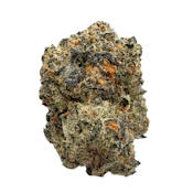 Dante's Cookie Jar, Indoor