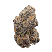 Sugar Factory, Indoor