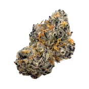 Koosh Tha Magic Dragon, Indoor