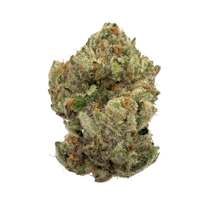 LUVLI - Grandma's Gun Chest, Indoor