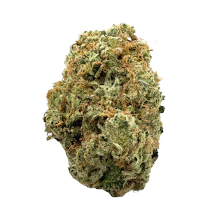 EC Indoor - Mt. Hood Magic, Indoor