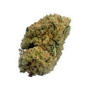 Dutch Treat, Sungrown, 1oz