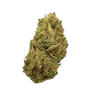 Güd Gardens - Blue Dream, Sungrown