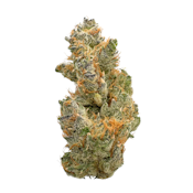 Secret Tang Breath, Indoor