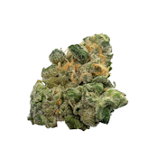 Mt. Hood Magic, B-buds, Indoor