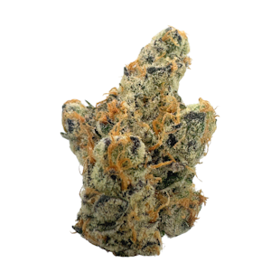 PACIFIC GROVE - Grapricot Pie, Indoor