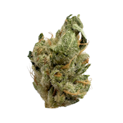 Mind Flex, B-buds, Indoor