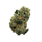 Bacio Mintz, B-buds, Indoor