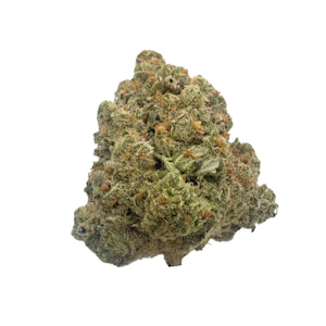 GROWN ROGUE - Jack Herer, Indoor