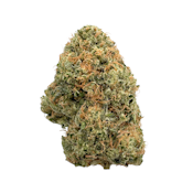 Wicked Sour, Indoor