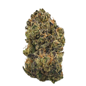 EBB & FLOW - Strawberry Gary, Greenhouse