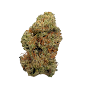 Garlic Storm, Sungrown, 1oz
