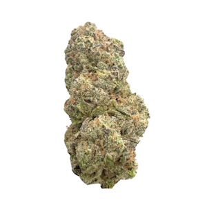 CULTIVATED FARMS - Hash Burger, Indoor