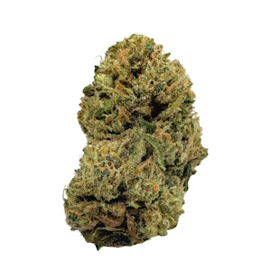 ALTA GARDENS - Amnesia Haze, Sungrown