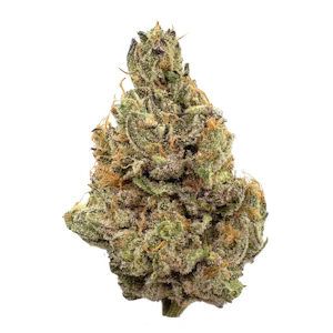 TERPMONGERS - Zlurpee, Indoor