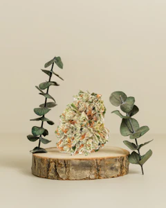 District Cannabis - Spritzer | Pre - Pack Flower | 3.5g | District Cannabis