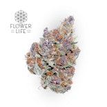 Purple Haze Bulk Flower - FLOWER OF LIFE