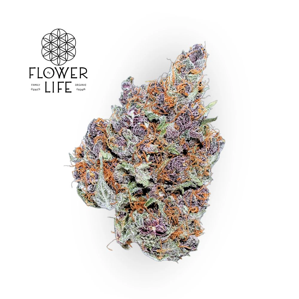 Flower of Life CBD - Purple Haze Bulk Flower - FLOWER OF LIFE Main Image