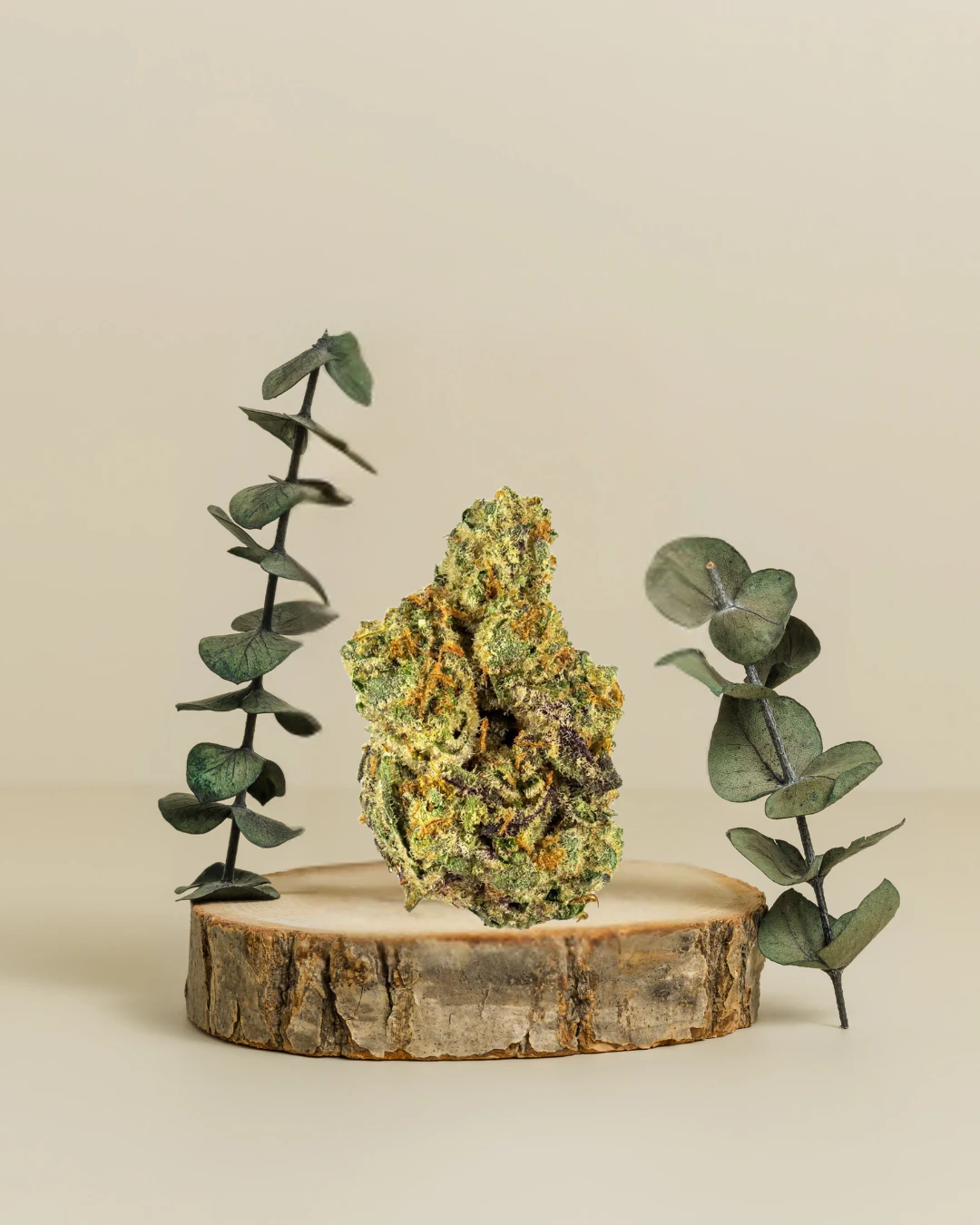 District Cannabis - Coco Chanel | Pre-Pack Flower | 3.5g | District Cannabis Main Image