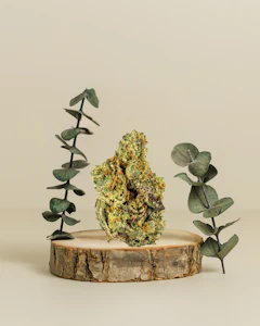 Molecular Farms - Cali Gas | Pre-Pack Flower | 3.5g | Molecular Farms