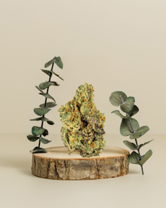 Molecular Farms - Sunday Driver | Pre-Pack Flower | 3.5g | Molecular Farms