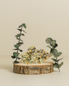 Crushed Ice | Pre-Pack Flower | 3.5g | Molecular Farms