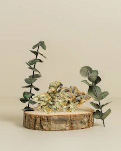 Corner Store Cultivation - Purple Nerdz | Pre Pack Flower | 3.5g | Corner Store Cultivation