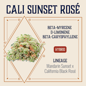 ELEVATE - ELEVATE - CALI SUNSET ROSE' 3.5 GRAMS
